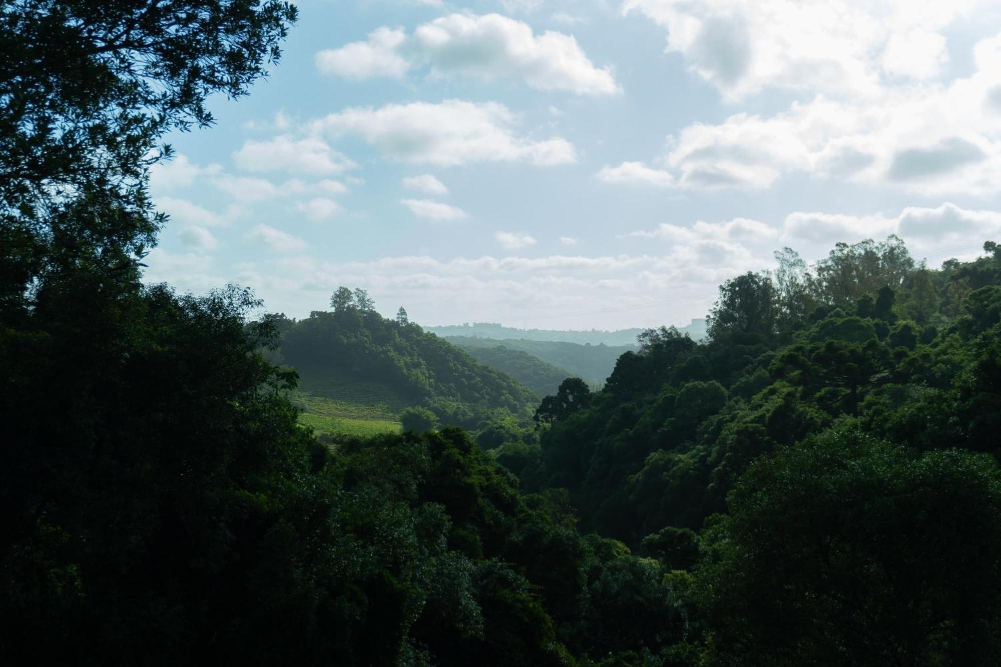 Chale Seiva Da Terra Villa Pinto Bandeira Buitenkant foto